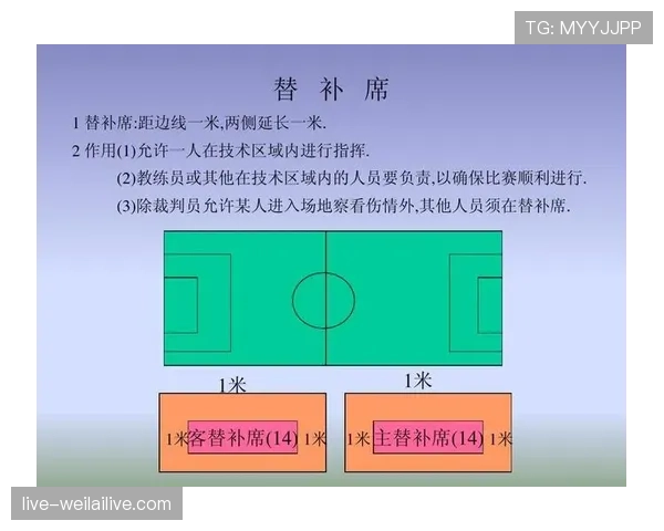 足球判罚标准解析：关键规则和裁判判定依据详细说明